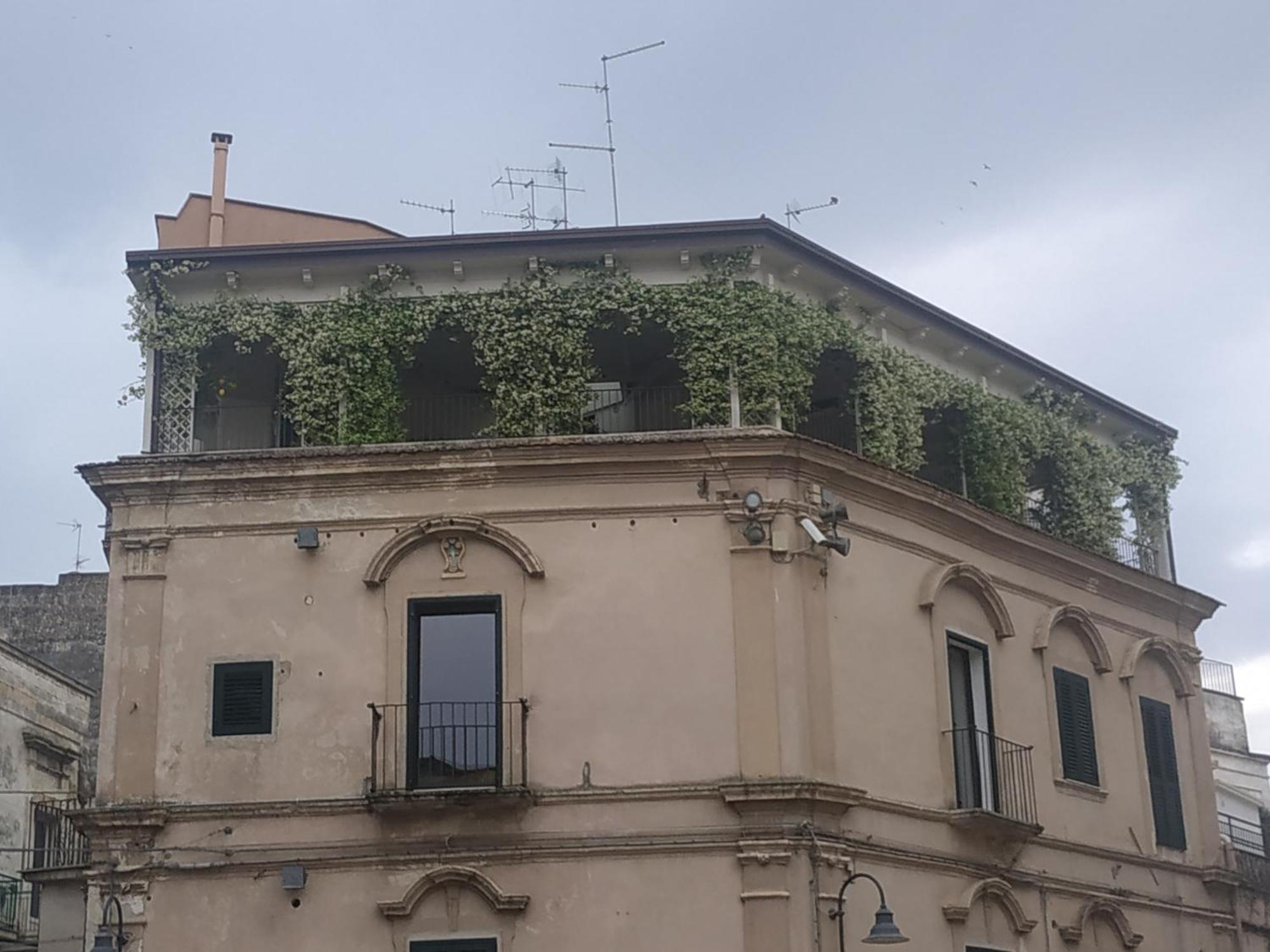 Miro' Rooms Gravina in Puglia Zewnętrze zdjęcie