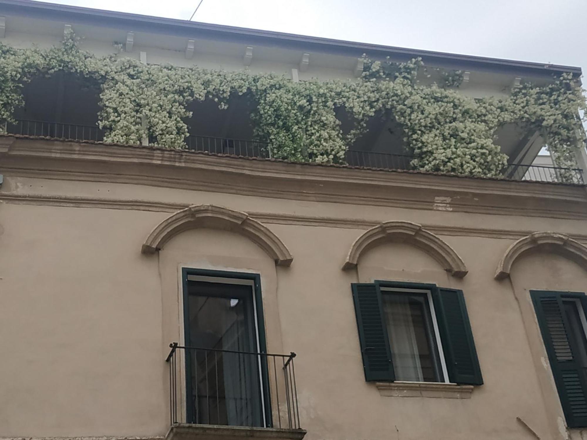 Miro' Rooms Gravina in Puglia Zewnętrze zdjęcie